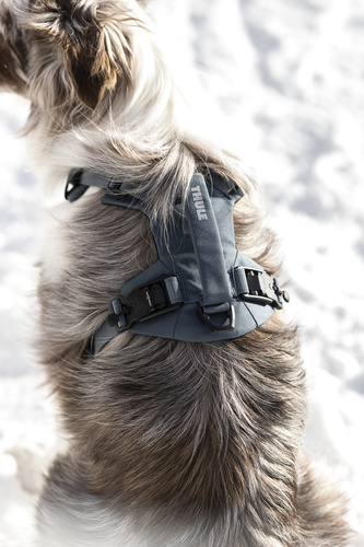 Thule - Dart harness L, dark slate