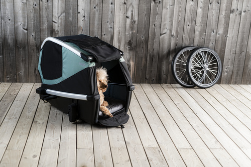 Przyczepka rowerowa dla psa - Thule Bexey M do 35 kg - Haze green